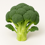 Broccoli